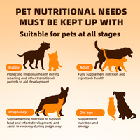 Poudre de complément nutritionnel pour animaux de compagnie, formule complexe, directement de l'usine, favorise la croissance et le développement, solution pour animaux difficiles à nourrir, pelage brillant