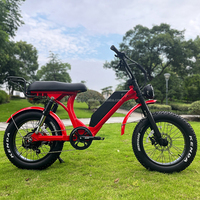 Fabricant OEM ODM, Vélo Électrique à Pneus Larges 1000w 750w avec Suspension Intégrale