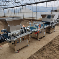 Semoir Agricole Automatique 12 Rangées Précision 98% Vitesse de Semis 500 Plateaux/Heure Diamètre de Graine 1-10MM pour Légumes et Fleurs de Ferme