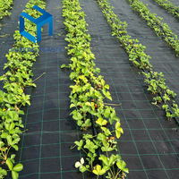 Toile de paillage en polypropylène tissé avec grille, tissu de contrôle des mauvaises herbes en plastique agricole, couverture de sol en PP PE