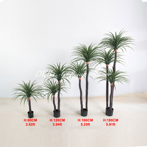 Plantas Artificiales al por Mayor de Fábrica DKB, Dracaena Marginata de Hoja Perenne, Palmeras Yucca Artificiales, Planta Dracaena - Product Image 3