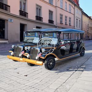 Voitures de golf électriques vintage de luxe 2025, voitures classiques anciennes bon marché à vendre, voiture de golf vintage classique - Product Image 5