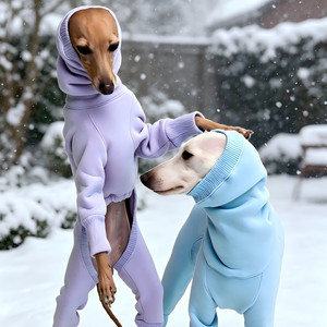 Suministros para mascotas: Nuevo mono de punto de diseñador para Whippet, suéter, bandana, mono de yogur de arándanos, para <span class=keywords><strong>Galgo</strong></span> Italiano - Product Image 2
