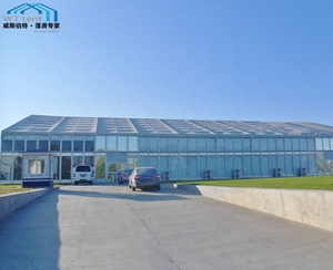 40x20ft 20x20ft 20x50ft chapiteau blanc tente de mariage tente de fête mariage <span class=keywords><strong>barnum</strong></span> bâche pour tente de cérémonie - Product Image 5