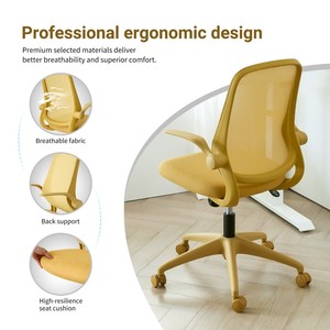 <span class=keywords><strong>Chaise</strong></span> <span class=keywords><strong>de</strong></span> <span class=keywords><strong>bureau</strong></span> pivotante <span class=keywords><strong>ergonomique</strong></span> LN18XS moderne à dossier moyen, <span class=keywords><strong>petite</strong></span> <span class=keywords><strong>taille</strong></span>, inclinable, réglable en hauteur, avec accoudoirs pliables et dossier en maille, disponible en plusieurs couleurs - Product Image 6