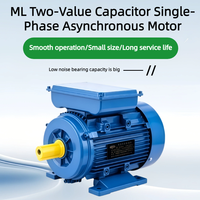 Moteur électrique domestique ML 0,25 kW-5,5 kW 2/4 pôles, à condensateur double valeur, monophasé, asynchrone à induction