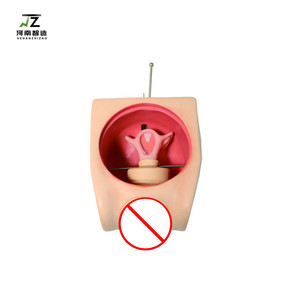 Modèle de formation avancé pour la pratique de la contraception féminine, mannequin d'entraînement au DIU grandeur nature en PVC, certifié CE ISO pour usage médical - Product Image 2