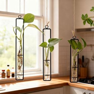 Vase en verre hydroponique mural géométrique transparent pour la propagation des plantes, bouteille de culture aquatique - Product Image 2