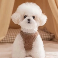 CWFS953 Gilet T-shirt pour chien en coton uni, doux et respirant, motif ours mignon, vêtements chauds d'hiver pour chiots, vêtements d'extérieur pour petits chiens, OEM