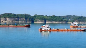 Mỏ Phốt Phát Đá Lớn Nhất P2O5 Phân Bón Nông Nghiệp Đá Vôi Sử Dụng 28% 30% Trong Cát & Bột - Product Image 6