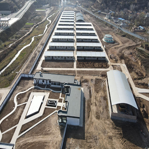 चीन ने कृषि गाय शेड घोड़े की स्थिर पूर्वनिर्मित इस्पात संरचना घर - Product Image 4