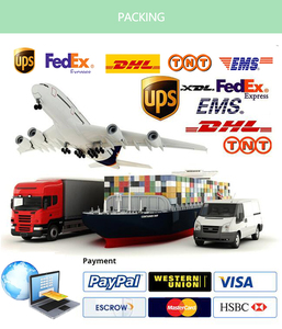 Bitki özü toptan organik Reishi <span class=keywords><strong>Shiitake</strong></span> Chaga türkiye kuyruk Lions Mane mantar tozu enerji odak için - Product Image 3