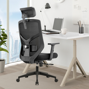 Đồ Nội Thất Văn Phòng Nhà Cung Cấp Trung Quốc Ghế Giám Đốc Máy Tính Lưới Hiện Đại Ghế Văn Phòng Công Thái Học Swivl Có Tấm Ghế Trượt - Product Image 2