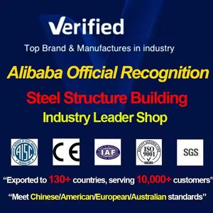 Trung tâm thương mại đa chức năng trung tâm mua sắm & siêu thị hiện đại đúc sẵn Kết Cấu Thép phức tạp - Product Image 6