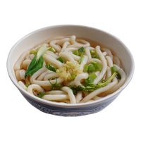 Delicious Halal Certified Fresh Instant Udon Noodles Family and Food Service Bulk Packs for Quick Japanese Style Soups Stir Fry