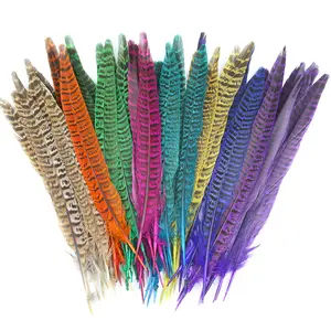 18-25cm 10/1 lot Ringneck pheasant Feather Accessories DIY stage show decoration craft materials