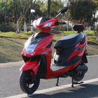 Nouvelle Moto Électrique 2026 1000W 60V CKD Scooter Cyclomoteur pour Adultes Longue Portée Commuter E-Moto