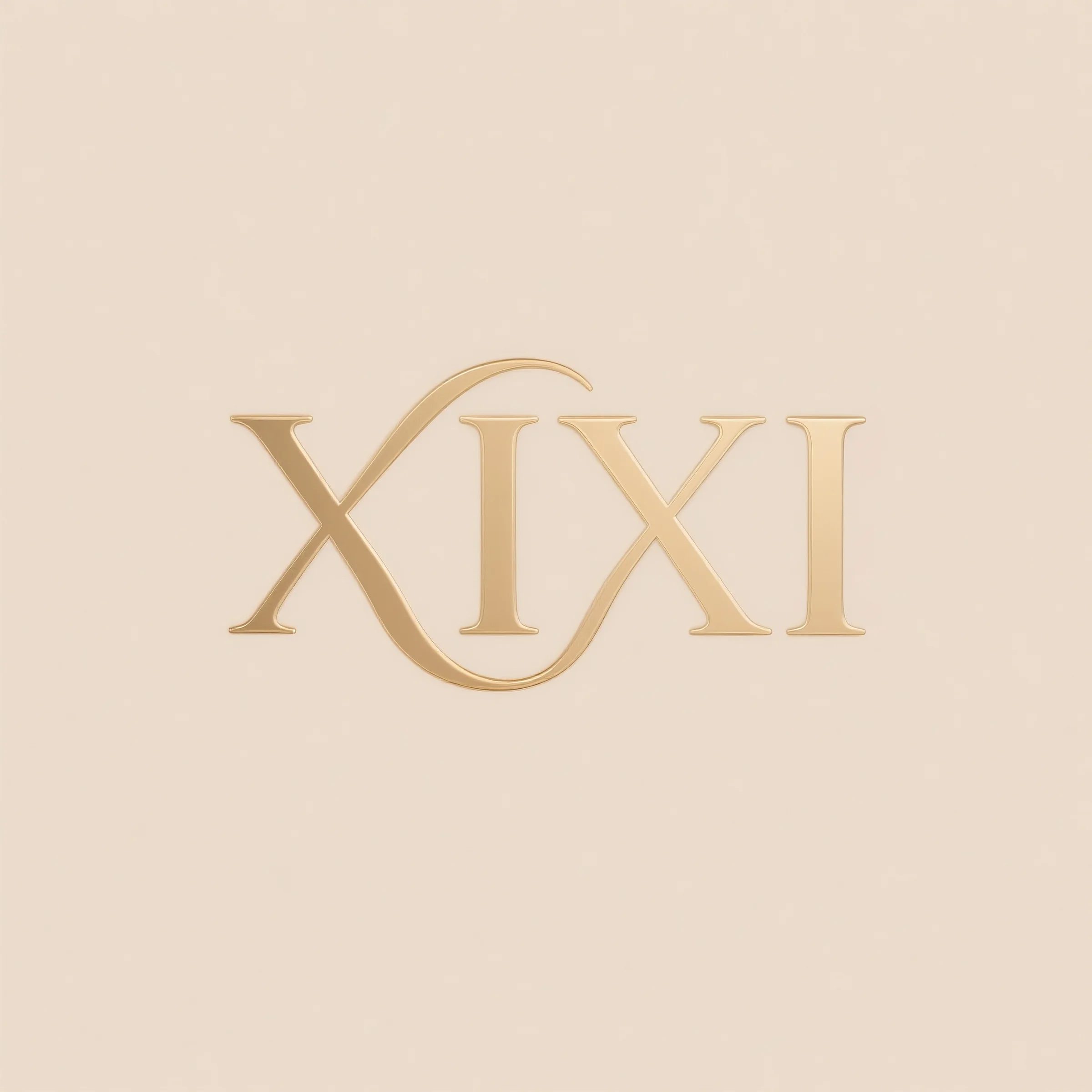 Dongguan Xixi Clothing Co., Ltd. logo