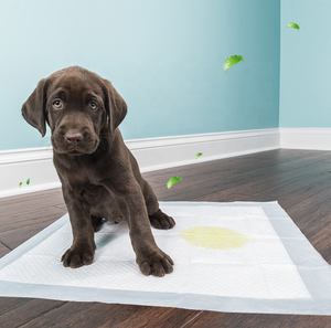 Almohadillas para orinar de cachorros a prueba de fugas de 60x90, 100 Uds., alfombrillas antideslizantes desechables para perros, almohadillas para pañales, almohadillas de entrenamiento para mascotas, Material de tejido - Product Image 4