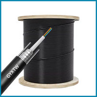 Cable Óptico Blindado Monomodo GYXTW con Doble Hilo de Acero, 12/24 Hilos, para Redes, Uso Exterior Aéreo/Enterrado Directo Disponible