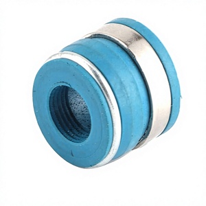 ชุดซีลวาล์ว OEM 252701103727 อะไหล่ใหม่สำหรับ TATA 497CR CEV 76PS BS4 Ultra T.7 เครื่องยนต์ 4S อะไหล่แท้ - Product Image 1