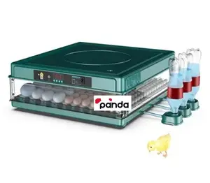 Incubateur d'oeufs de poule entièrement automatique aux Émirats arabes unis à vendre incubateur 112 oeufs 12v 220v