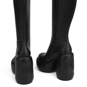 Bottes hautes à talons ronds pour femmes, plateforme épaisse, styles uniques, bottines longues, design personnalisé, chaussures à fermeture éclair latérale - Product Image 4