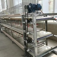 Cage à poulets avec système de nettoyage du fumier motorisé portatif