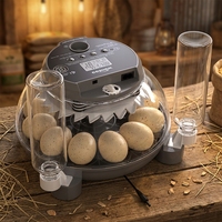 WONEGG Incubateur d'œufs de poulet électrique automatique de haute qualité avec commande vocale IA 110V 220V en promotion