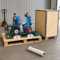 Machine automatique de débavurage et de polissage des métaux, équipement de meulage de surface pour tôles plates, pour l'élimination de la rouille