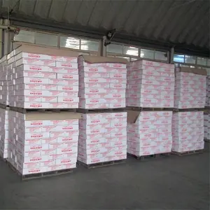 Canned Paste Easy Open Tomato Sauce Tin for Germany Tomato Paste Manufacturer