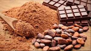 Nutra Cocoa Agro Cacao Direct Ingredientes en polvo crudos de calidad premium para hornear Bebidas Embalaje en caja Disponible en los EE. UU. - Product Image 2