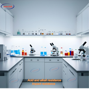 Mobiliario de Laboratorio, Equipos Científicos Personalizados para Histopatología, Lista de Equipos Biomédicos para Laboratorio - Product Image 6