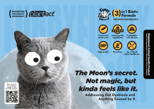 犬と猫の健康と栄養のサプリメントトルコサーモンマグロシーフードと魚の味ペット栄養のサプリメント - Product Image 2