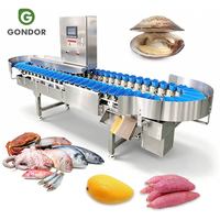 Automatische fruit- en vis sorteermachine (appel, sinaasappel, aardappel) op basis van gewicht en formaat.