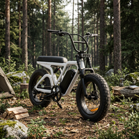 Vélos électriques, vélos électriques à pneus larges, 48v 250W 750W, Fatbike, Ebik, vélo électrique pas cher, vélo de montagne électrique