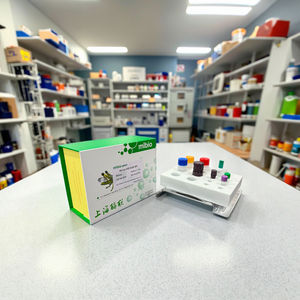 Hoher Reinheit sgrad Menschliche MMP-9 Elisa Kit - Product Image 4