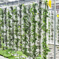 Système hydroponique vertical pour la culture de légumes en serre en 2020, système de culture en gouttière NFT en intérieur, légumes en croissance