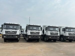 <span class=keywords><strong>Camion</strong></span> benne d'occasion à couple élevé, robuste, 6x4, 8x4, 12 roues, 10 roues, avec conduite à gauche, moteur diesel Shacman - Product Image 4