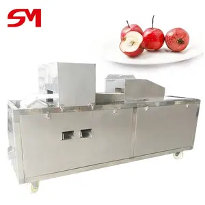 Perfecte After-Sales Service Apple Industriële Citroen Sinaasappel Avocado Peeling Machine Kern Prikmachine Snijmachine