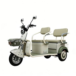 Triciclo con Suspensión Mejorada y Batería de Alta Potencia para un Transporte Eficiente - Product Image 1