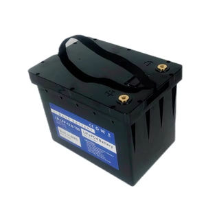 LifePo4 12v储能磷酸铁锂电池组，带BMS 24V 36V 50Ah 100Ah 200Ah 300Ah 400Ah范围 - Product Image 1