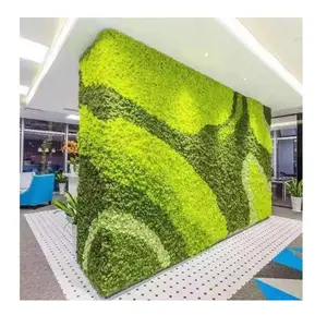 फॉरएवर प्रिजर्वेटिव मॉस वॉल आर्ट होम डेकोर मॉस वॉल पैनल अनुकूलित आकार हरा वास्तविक प्राकृतिक संरक्षित मॉस वॉल