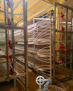 Nouvelles cages d'élevage de poussins en acier galvanisé de type H durables avec système de nettoyage automatique du fumier et d'alimentation pour poussins. - Product Image 4