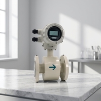 Débitmètre électromagnétique sans fil intelligent numérique RS485 Modbus IP68 4-20mA à impulsions certifié MID pour eau, eau de mer et eaux usées