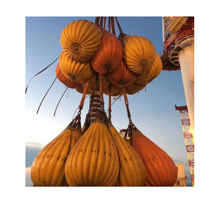 5טון 50 טון pvc מנוף davit עומס בדיקות מים כבדים - Product Image 1