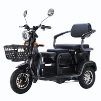 Tricycle électrique sans balais pour la route, scooter de mobilité 3 vitesses, moteur 500W, batterie 60V 20AH, télécommande, 3 roues, charge maximale 200kg