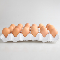 Vouwbare, stevige, wegwerpbaar, milieuvriendelijke eierdoos van bagasse, biologisch afbreekbaar, 30-cels verpakking voor kippen eieren