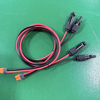 Adaptateur Connecteur Solaire XT60I-F Câble d'Alimentation 12V DC Isolé PVC 2 Cœurs 12AWG avec Connecteurs pour Stockage d'Énergie