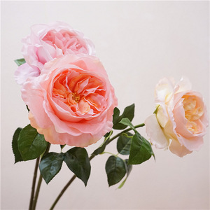 <span class=keywords><strong>Rose</strong></span> artificielle en latex au toucher réel, hydratante, <span class=keywords><strong>rose</strong></span> Juliet, durable, respectueuse de l'environnement, décoration pour le salon - Product Image 6